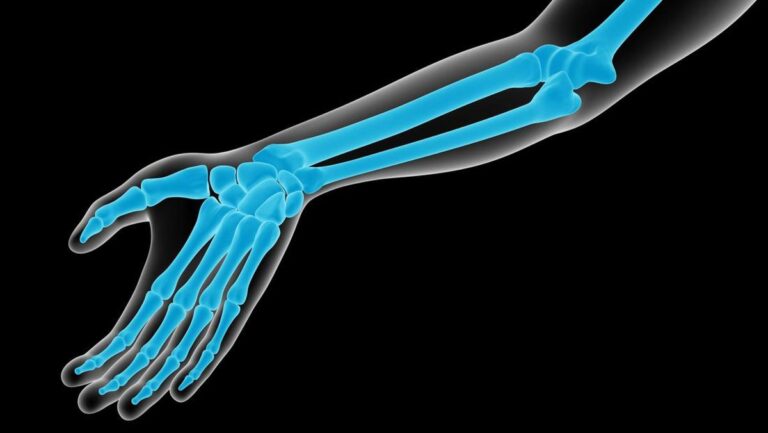 tulang-tangan-manusia_169.jpeg
