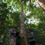 009671200_1765760192-Apple_dan_WWF_Indonesia_Kolaborasi_Jaga_Bukit_Tigapuluh_di_Sumatra.jpg