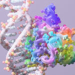 RFdiffusion3-AI-designed-DNA-binding-protein-by-Ian-C-Haydon-UW-Institute-for-Protein-Design-1260x94.jpeg