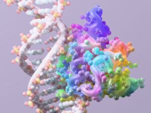 RFdiffusion3-AI-designed-DNA-binding-protein-by-Ian-C-Haydon-UW-Institute-for-Protein-Design-1260x94.jpeg