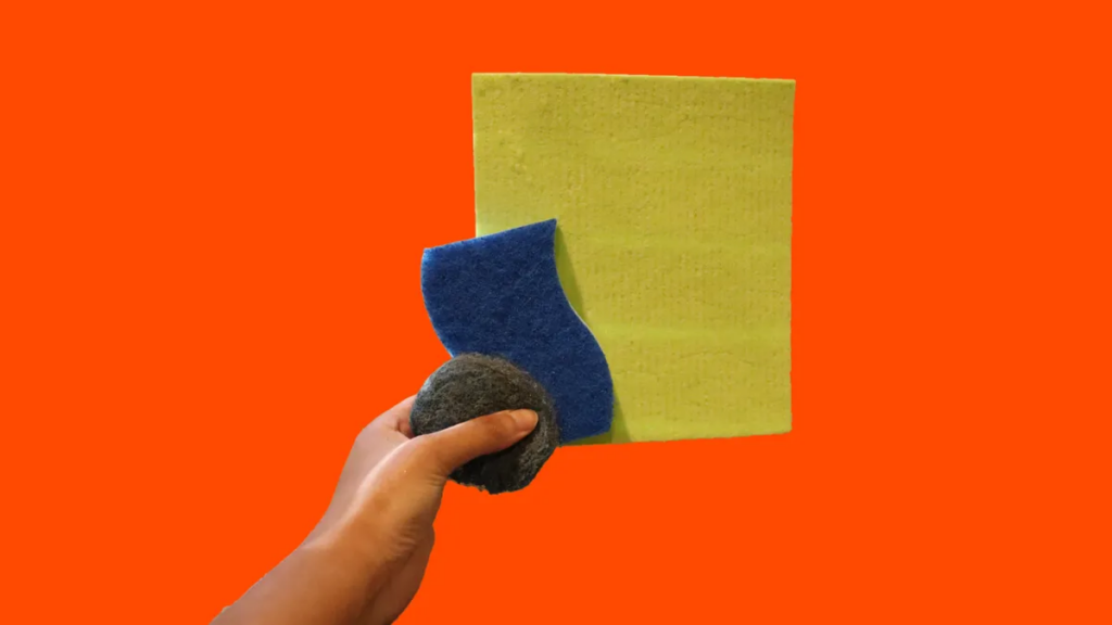 sponges.png
