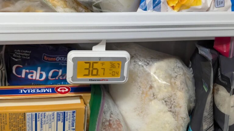 thermopro-thermometer-hanging-in-crowded-freezer-door.jpg