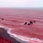 warna-laut-teluk-persia-berubah-jadi-merah-darah-jtq.jpg