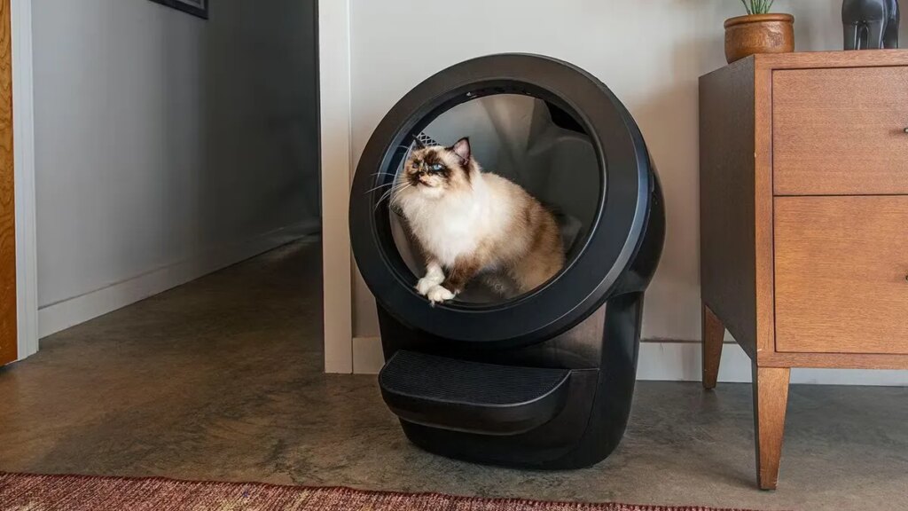 whisker-litter-robot.jpg