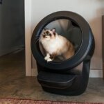 whisker-litter-robot.jpg