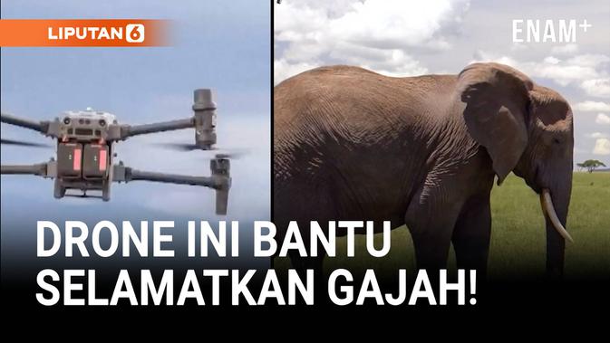 059364800_1767771361-dw202601-drone-bantu-selamatkan-gajah-pelajari-pola-kebiasaan-89d941.jpg